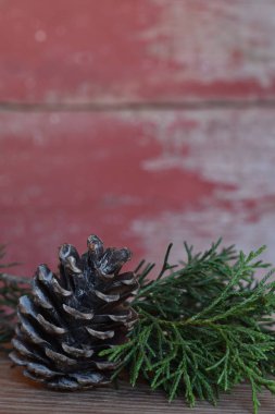 çam kozalağı bir kırmızı ahır tahta arka plan ile