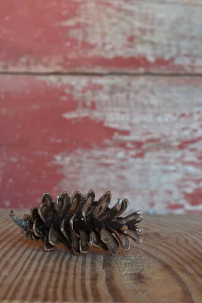 Cône de pin avec un fond de panneau de grange rouge — Photo
