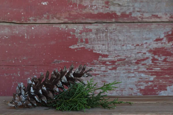 pine cone with a red barn board background