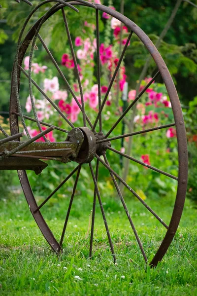 Vognhjul Med Rosa Blomster Bakgrunnen – stockfoto