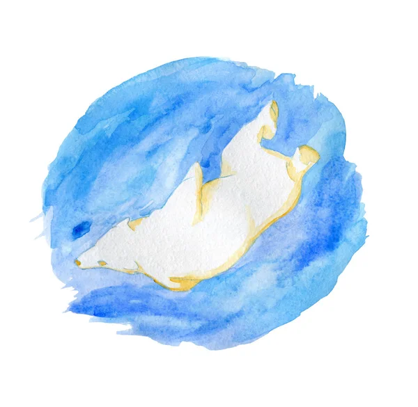 Белый Медведь Плавает Воде Три Цвета Акварель — стоковое фото