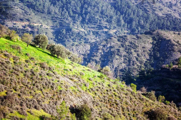 美丽的山景观 绿色的草坪上的山坡上的山 — 图库照片