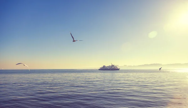 Silhouet Van Een Veerboot Bij Zonsondergang Meeuwen Vliegen Rond Prachtige — Stockfoto