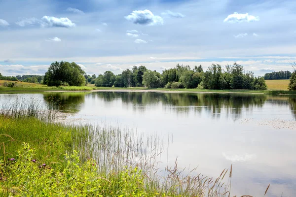 Linda Paisagem Verão Lagoa Campo Grama Verde Céu Azul Com — Fotografia de Stock