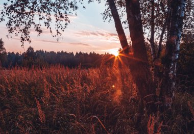 Sonbahar Orman, Güneş parlamayı, mevsim değişikliği, güzel bir manzara parlak kırmızı sulu gün batımı