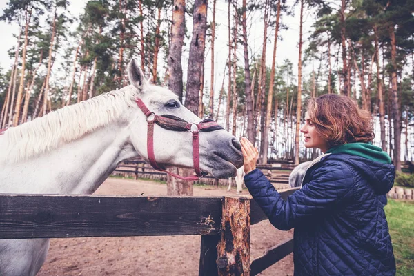 Belle Jeune Femme Caressant Nez Cheval Gris Amour Soin Des — Photo