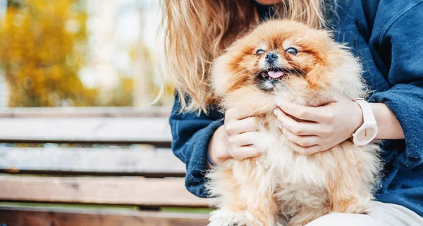 Mulher Com Seu Filhote Cachorro Pomerânia Suas Mãos Banco Parque — Fotografia de Stock