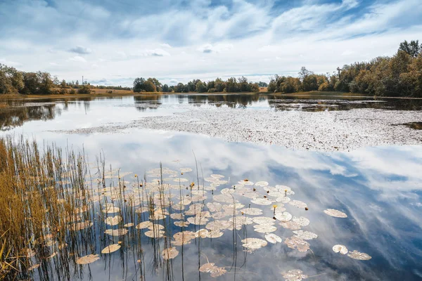 美丽的秋景 田野里的池塘 绿草蓝天白云 — 图库照片