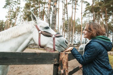 Güzel genç kadın bir gri atı, sevgi ve bakım hayvanlar için burnunu okşayarak