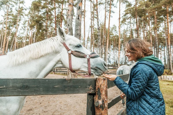 美丽的年轻女子抚摸着一匹灰马的鼻子 爱和爱护动物 — 图库照片