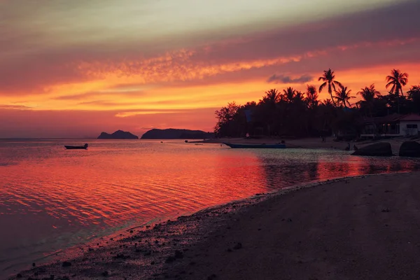 Coucher Soleil Coloré Lumineux Rivage Sablonneux Mer Tropicale Palmiers Sur — Photo