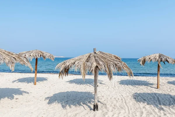 Güzel manzara, tropikal plaj beyaz kum ve palmiye yaprakları, şemsiyeleri ile sakin ve seyahat, minimalist kavramı