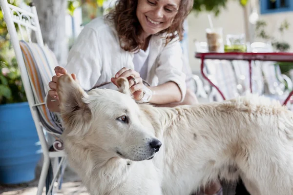 Een Mooie Jonge Vrouw Speelt Met Haar Hond Labrador Raakt — Stockfoto