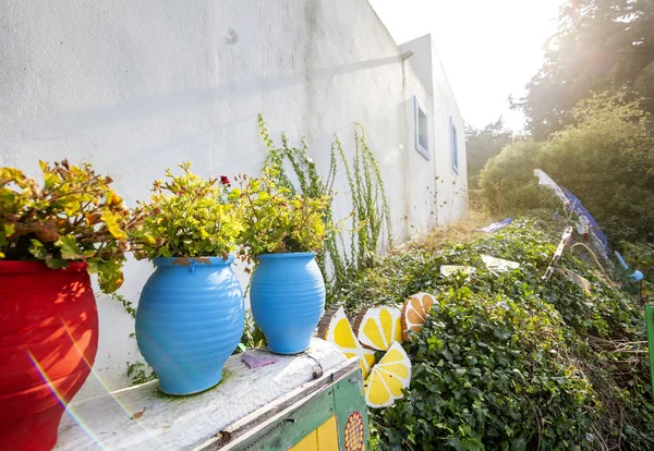 Potes Cerâmica Azul Vermelho Brilhante Com Flores Rua Contra Paredes — Fotografia de Stock