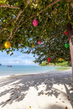Şaşırtıcı inanılmaz tropikal plaj, beyaz kum, mavi gökyüzü bulutlar ve ağaçları kum üzerinde yansıması ile güzel