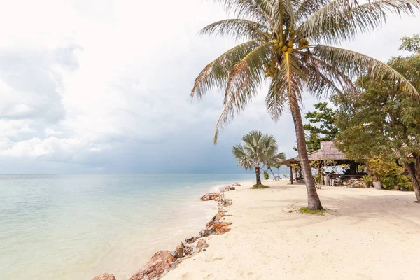 Bright Beautiful Tropical Beach White Sand Palm Trees Thunderstorm — Stock Photo, Image