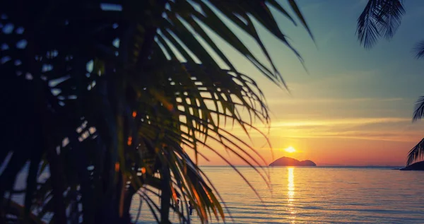 Bela Paisagem Brilhante Deslumbrante Pôr Sol Brilhante Papel Parede Fundo — Fotografia de Stock