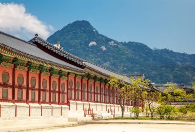 Gyeongbokgung Sarayı Seoul, Güney Kore. Bahar