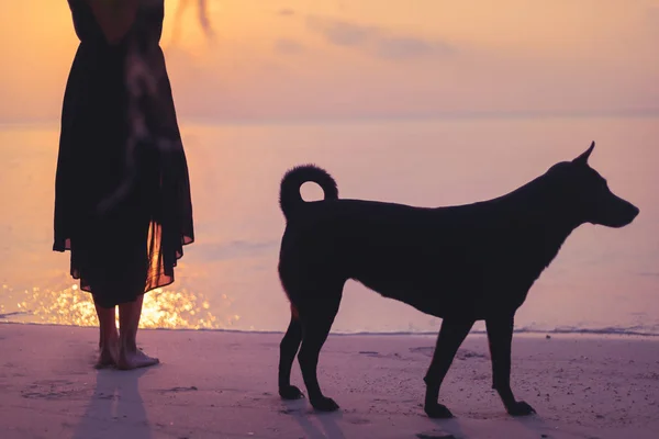 Silhouette Bir Köpek Günbatımı Sırasında Deniz Kum Üzerinde Çıplak Ayakla — Stok fotoğraf