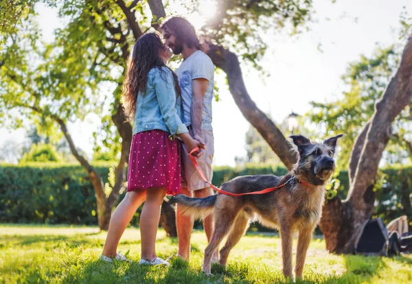 Unga vackra par som går hunden i sommar parken — Stockfoto