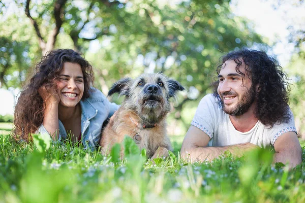 Unga lyckliga par liggande på gräset med en hund på sommaren p — Stockfoto