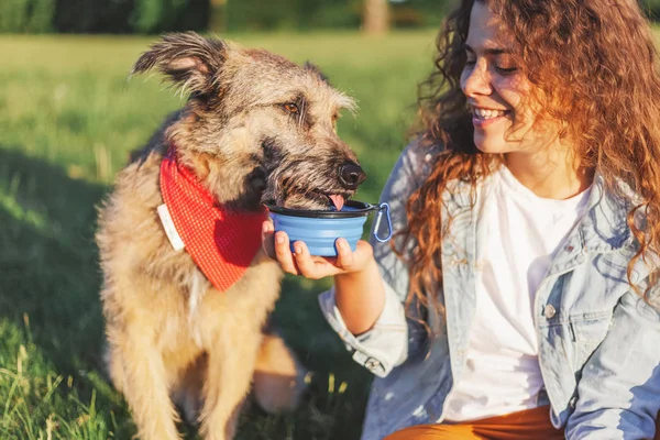 Een jonge vrouw geeft om haar hond te drinken voor een wandeling in het bos. S — Stockfoto