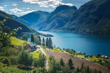 Norveç fiyort shore, Aurland fiyort, güzel İskandinav landsc