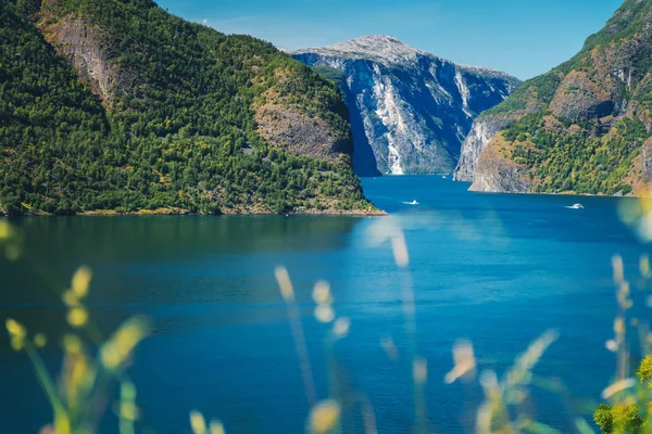 挪威峡湾海岸，奥兰峡湾，美丽的斯堪的纳维亚土地 — 图库照片