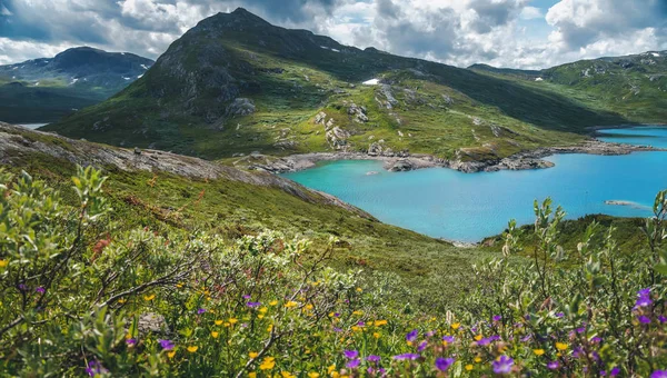 Paesaggio estivo nel parco nazionale di Jotunheimen in Norvegia — Foto Stock