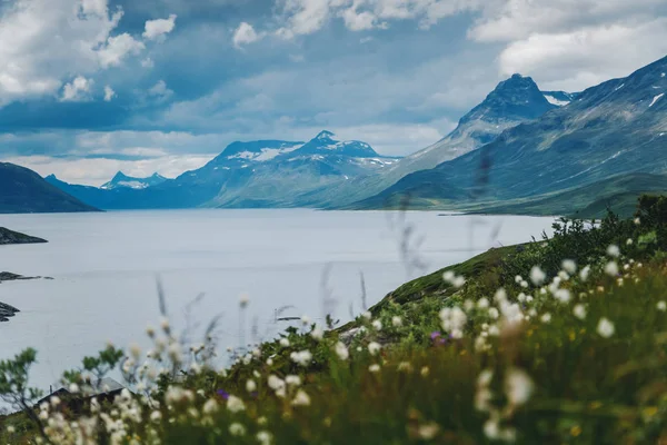 Paesaggio estivo nel parco nazionale di Jotunheimen in Norvegia — Foto Stock