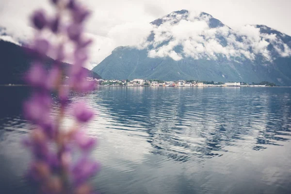 Riva del fiordo in Norvegia, montagne tra le nuvole. Bello. — Foto Stock