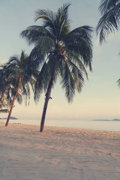Playa tropical con palmeras y arena blanca al atardecer, retro — Foto de Stock