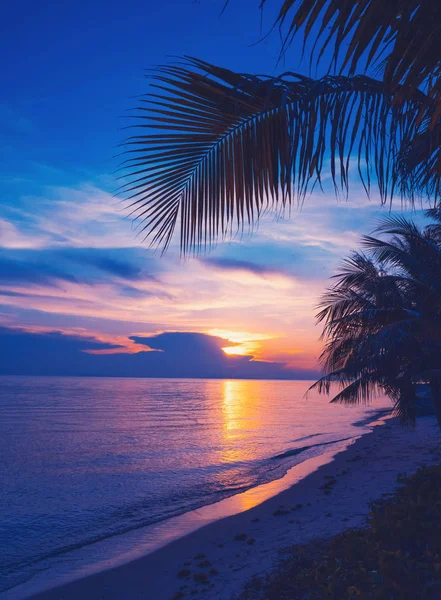 Яркий красочный закат на берегу тропического моря, силуэт — стоковое фото