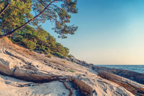 Prachtig landschap, rotsachtige stenen zee kust met hoge pijnbomen. Middellandse Zee in Turkije — Stockfoto