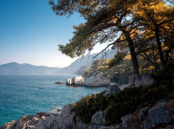 Güzel manzara. Mavi denizin kıyısındaki tepelerde çam ormanı. Akdeniz, Türkiye 'ye seyahat. Faralya Köyü — Stok fotoğraf