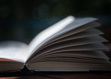 Kitap ve sayfalar yakın çekim. Makro atış. Eğitim kavramı okunuyor