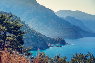 Turkuaz suyu olan güzel bir sahil, yüksek uçurumlarla çevrili, vahşi yaşamın güzelliği, Faralya Turkey