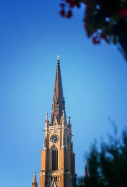 Novi Sad 'ın merkezindeki Bakire Meryem Katolik Katedrali Sırbistan' a gitti.