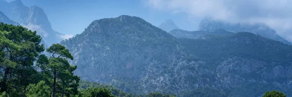 秀丽的山景 山上松林 蓝天云彩 全景横幅格式 — 图库照片