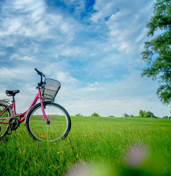 Female Bicycle Basket Stands Green Blooming Field Blue Sky Background — Stock Photo, Image
