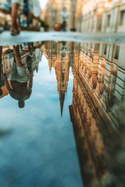 Hermoso Paisaje Ciudad Ciudad Europea Refleja Charco Serbia Catedral Novi —  Fotos de Stock