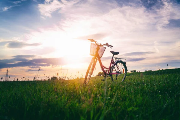 Bicicleta Femenina Con Una Cesta Campo Verde Atardecer Vacaciones Verano — Foto de Stock