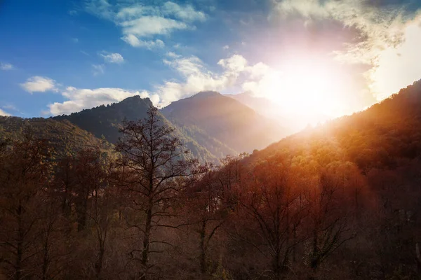 Prachtig Herfstlandschap Bergen Bij Zonsondergang Corsica Reizen Naar Frankrijk — Stockfoto