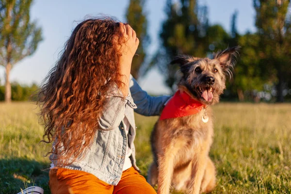 Ung Glad Leende Vacker Kvinna Med Sin Hund Parken Grönt — Stockfoto