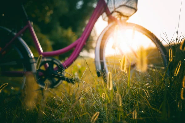 日落时 自行车站在金黄色的草地上 在森林里插着小穗 美丽的夏秋背景 模糊的图像 — 图库照片