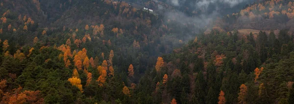 Floresta de outono, nevoeiro sobre ela. Bela paisagem natural. Panorama formato banner — Fotografia de Stock