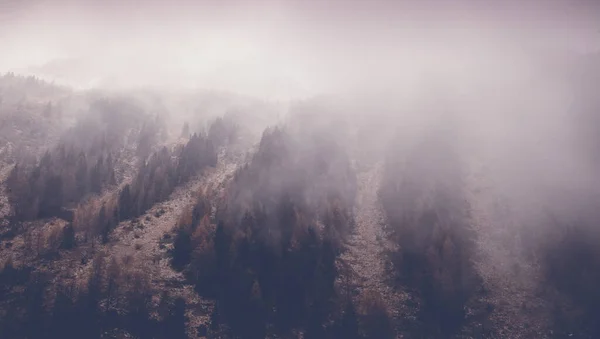 Mist in het herfstbos bij het bos. Prachtig alpenlandschap — Stockfoto
