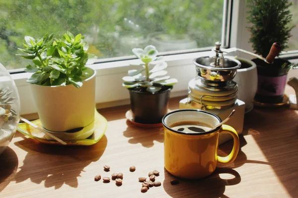 güneşli sabah bir fincan kahve ile