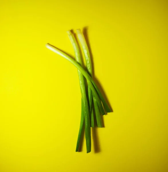 Sarı zemin üzerine taze soğan