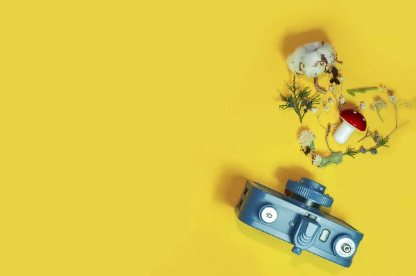 Yaz çekim. Kopya alanı